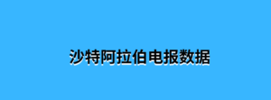 沙特阿拉伯电报数据