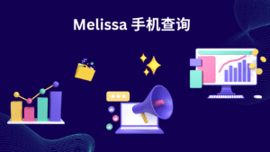 Melissa 手机查询