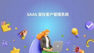 SAAS 潜在客户管理系统