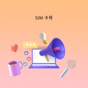 SIM 卡号