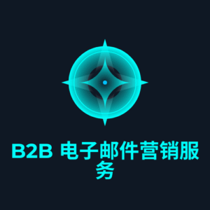 B2B 电子邮件营销服务