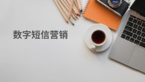 数字短信营销